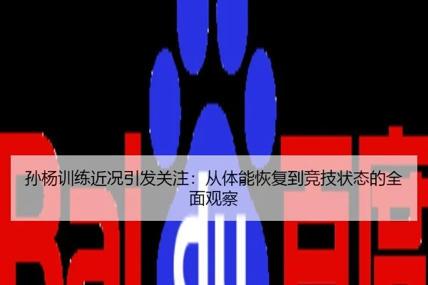 孙杨训练近况引发关注：从体能恢复到竞技状态的全面观察