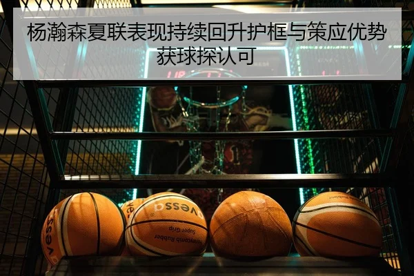 杨瀚森夏联表现持续回升护框与策应优势获球探认可