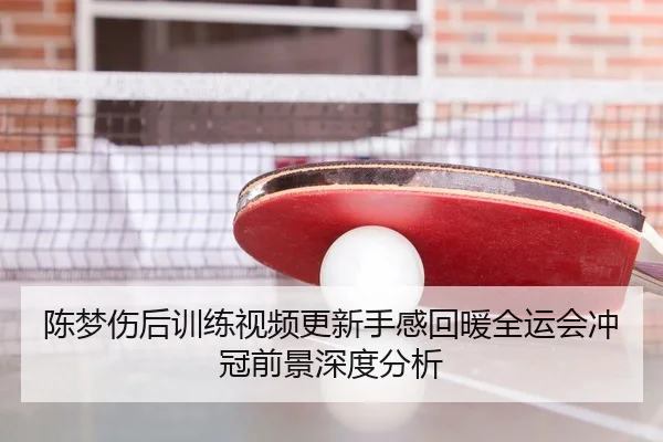 陈梦伤后训练视频更新手感回暖全运会冲冠前景深度分析